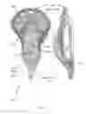 Fig. 02 - 3D PRINTED LACROSSE HEAD