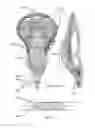 Fig. 03 - 3D PRINTED LACROSSE HEAD