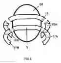 Fig. 06 - TARGET FOR MARTIAL ARTS TRAINING