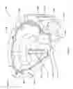 Fig. 04 - Fluid mixing hub for semiconductor processing tool