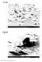 Fig. 07 - METHODS OF PREPARING SOLID PARTICLE SOLUTIONS FOR FORMING TEXTURED SURFACES