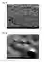 Fig. 08 - METHODS OF PREPARING SOLID PARTICLE SOLUTIONS FOR FORMING TEXTURED SURFACES