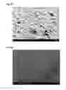 Fig. 09 - METHODS OF PREPARING SOLID PARTICLE SOLUTIONS FOR FORMING TEXTURED SURFACES