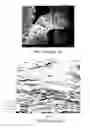 Fig. 08 - Production of highly oriented graphene oxide films and graphitic films derived therefrom