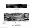 Fig. 09 - Production of highly oriented graphene oxide films and graphitic films derived therefrom