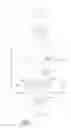 Fig. 02 - CNC machine cutting fluid discharging tool accessory