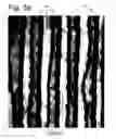 Fig. 06 - Methods of manufacturing sequentially stretched polymer films, apparatus used for such methods, and products obtained thereby