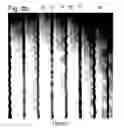 Fig. 07 - Methods of manufacturing sequentially stretched polymer films, apparatus used for such methods, and products obtained thereby