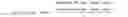 Fig. 07 - Shrink films with high tear resistance, and methods of making thereof