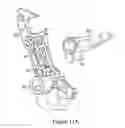 Fig. 18 - Modular print drive assembly and platen assembly
