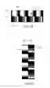 Fig. 07 - Optical security component with reflective effect, production of such a component and secure document provided with such a component