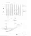 Fig. 03 - Tire Including A Knitted Fabric Having Variable Properties