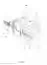 Fig. 12 - Air nozzle device for a vehicle