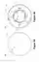 Fig. 06 - Vented valve cap