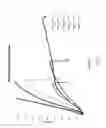 Fig. 09 - Load bearing rail and tie-down ring assembly