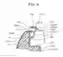 Fig. 09 - Seatback side and base material for seatback side
