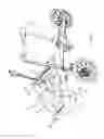 Fig. 03 - Cargo cycle with passenger seats