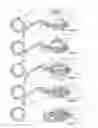 Fig. 05 - Non-overlapping frame folding bike