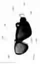 Fig. 30 - LIGHTING AND ENHANCED VISIBILITY FOR DIVERS