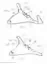 Fig. 02 - Coupling device, wing assembly for an aircraft comprising such coupling device and aircraft comprising such wing assembly