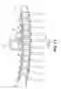 Fig. 17 - Spiral conveyor system