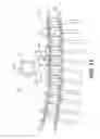 Fig. 18 - Spiral conveyor system
