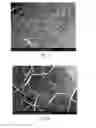 Fig. 03 - GRAPHENE AND HEXAGONAL BORON NITRIDE PLANES AND ASSOCIATED METHODS