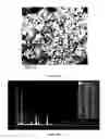 Fig. 28 - System and methods for removing impurities from phosphogypsum and manufacturing gypsum binders and products