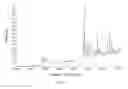 Fig. 10 - Polymorphic forms of the sodium salt of 4-tert-butyl-N-[4-chloro-2-(1-oxy-pyridine-4-carbonyl)-phenyl]-benzene sulfonamide