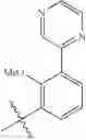 Fig. 162 - Amide-substituted heterocyclic compounds useful as modulators of IL-12, IL-23 and/or IFN alpha responses