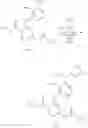 Fig. 339 - Amide-substituted heterocyclic compounds useful as modulators of IL-12, IL-23 and/or IFN alpha responses