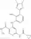 Fig. 372 - Amide-substituted heterocyclic compounds useful as modulators of IL-12, IL-23 and/or IFN alpha responses