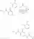 Fig. 412 - Amide-substituted heterocyclic compounds useful as modulators of IL-12, IL-23 and/or IFN alpha responses