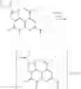Fig. 16 - POLYMORPHIC FORMS OF 4,5-DIHYDRO-1H-PYRROLO[2,3-F]QUINOLINE-2,7,9-TRICARBOXYLIC ACID AND ITS DISODIUM SALT, PROCESS FOR THEIR PREPARATION AND THEIR USE