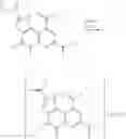 Fig. 19 - POLYMORPHIC FORMS OF 4,5-DIHYDRO-1H-PYRROLO[2,3-F]QUINOLINE-2,7,9-TRICARBOXYLIC ACID AND ITS DISODIUM SALT, PROCESS FOR THEIR PREPARATION AND THEIR USE