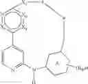 Fig. 02 - MACROCYLIC PYRIDINE DERIVATIVES