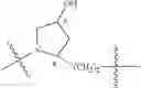 Fig. 19 - MACROCYLIC PYRIDINE DERIVATIVES