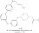 Fig. 194 - MACROCYLIC PYRIDINE DERIVATIVES