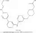 Fig. 247 - MACROCYLIC PYRIDINE DERIVATIVES