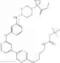 Fig. 282 - MACROCYLIC PYRIDINE DERIVATIVES