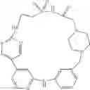 Fig. 419 - MACROCYLIC PYRIDINE DERIVATIVES