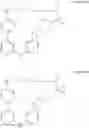 Fig. 430 - MACROCYLIC PYRIDINE DERIVATIVES