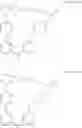 Fig. 436 - MACROCYLIC PYRIDINE DERIVATIVES