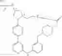 Fig. 441 - MACROCYLIC PYRIDINE DERIVATIVES