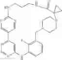 Fig. 461 - MACROCYLIC PYRIDINE DERIVATIVES