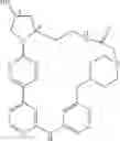 Fig. 466 - MACROCYLIC PYRIDINE DERIVATIVES