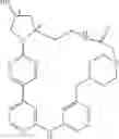 Fig. 468 - MACROCYLIC PYRIDINE DERIVATIVES