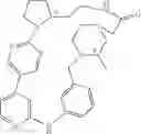 Fig. 476 - MACROCYLIC PYRIDINE DERIVATIVES