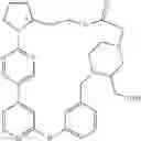 Fig. 478 - MACROCYLIC PYRIDINE DERIVATIVES