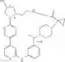 Fig. 481 - MACROCYLIC PYRIDINE DERIVATIVES